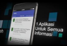 Diskominfo Inhil Pastikan Hilangnya InPas di Google Play Store Tak Pengaruhi Layanan Informasi
